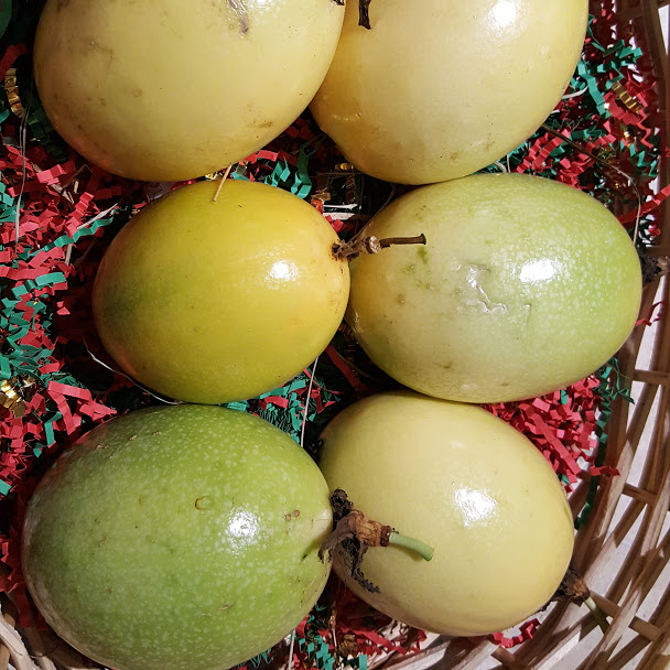 Fruit Variety Picture